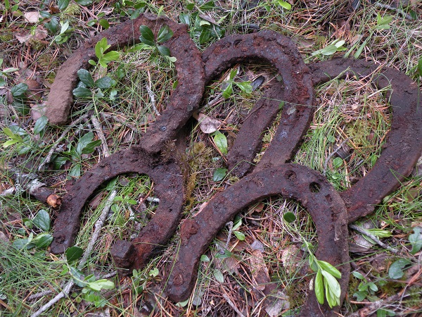 german horseshoes
