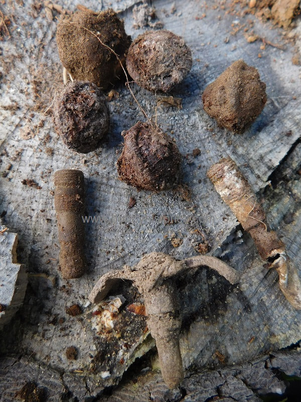 metal detecting ww2 relics treasure hunt hobbyhistorica world war two battlefield recovery military archaeology