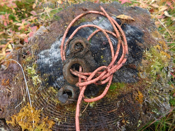 German Pioneer wire and whats left of a zeltbahn.